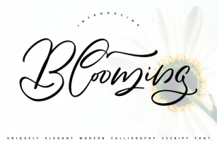 Blooming | Calligraphy Script Font Font Download