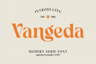 Vangeda - Modern Serif Font Font Download