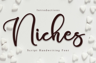 Niches Font Download