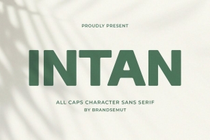 Intan // Modern Sans Serif Font Download