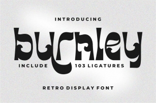 Burnley - Retro Display Font Font Download