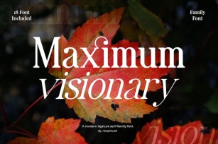 Maximum Visionary Family Elegant Serif Font Font Download