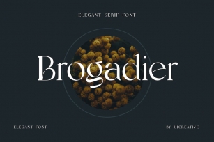 Brogadier Elegant Serif Font Font Download