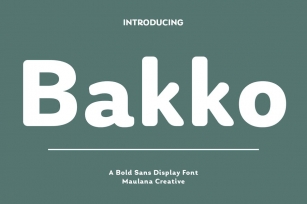 Bakko Sans Display Font Font Download