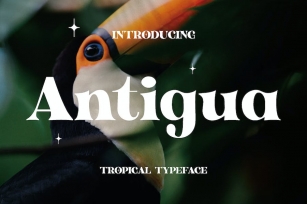 Antigua - Tropical Display Font Download