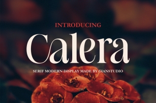 Calera Font Download