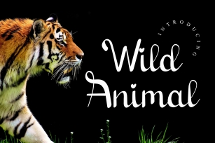 Wild Animal Font Download