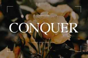 Conquer Font Download