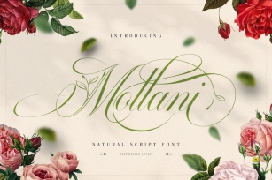 Mollani Nature Script Font Download