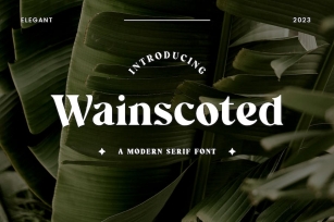 Wainscoted Modern Serif Font Font Download