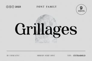 Grillages Modern Serif Font Font Download