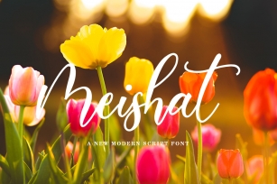 Meishat Font Download
