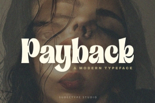 Payback - Modern Serif Font Font Download