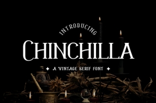 Chinchilla Vintage Serif Font Font Download