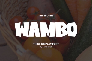 Wambo Thick Display Font Font Download
