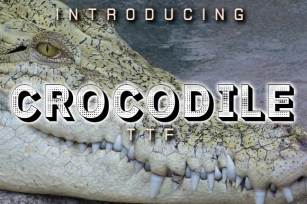 Crocodile Font Download