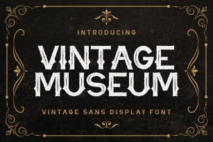 Vintage Museum Font Download