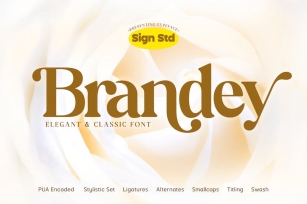 Brandey Font Download