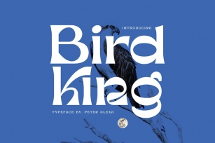 Bird King Retro Serif Font Download