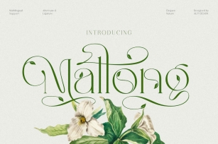 Mallong Typeface Font Download