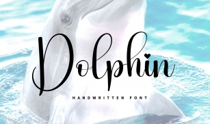 Dolphins Font Download