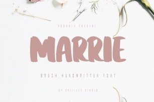 Marrie - Brush Handwritten Font Font Download