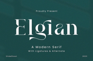 Elgian A Modern Serif Font Font Download