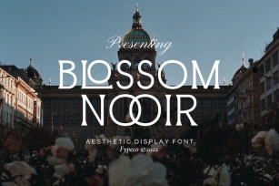 Blossom Noir -Aesthetic Display Font Font Download