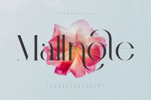 Mallnote Elegant Ligature Serif Typeface Font Download