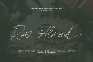 Raw almond - Casual Moder Font Download