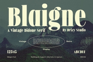 Blaigne - Serif Vintage Font Font Download
