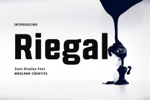 Riegal Display Sans Font Font Download