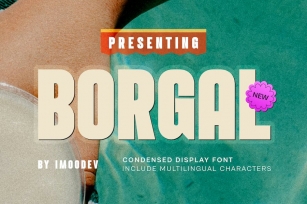 Borgal - Modern Minimal Font Font Download