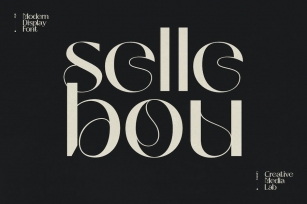 Sellebou - Modern Display Font Font Download