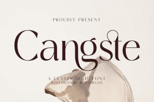 Cangste Classy Serif Font Font Download