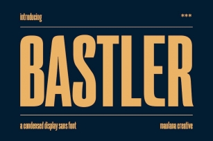 Bastler Condensed Sans Display Font Font Download