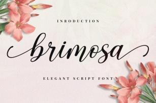 Brimosa Script Font Download