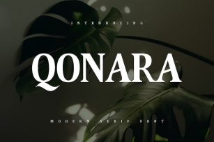 Qonara - Serif Font Font Download