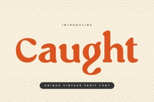 Caught - Unique Vintage Serif Font Font Download
