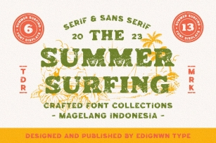 Summer Surfing - Display Font Font Download