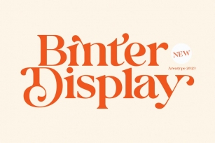 Binter Display Font Font Download