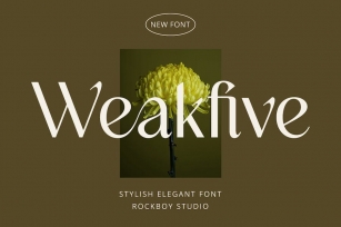 Weakfive - Modern Stylish Font Download