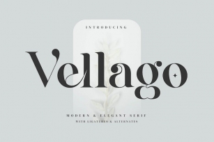 Vellago - Stylish Ligature Font Font Download