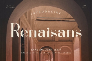 Renaisans Sans Modern Serif Font Download