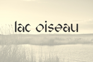 Lac Oiseau DEMO Font Download