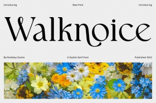 Walknoice - Modern Stylish Font Download
