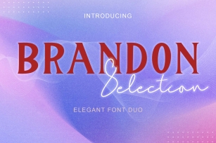 Brandon Selection Serif Font Download