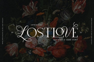 Lost Love Font Font Download