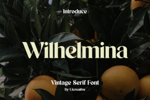 Wilhelmina Vintage Serif Font Font Download
