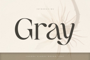 Gray - Luxury Classy Brand Font Font Download